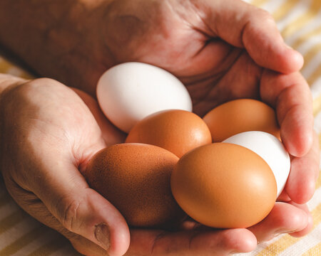 Two large male hands holding six fresh brown and white eggs 