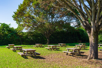 【風景】公園のベンチとテーブル