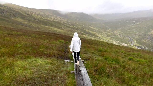 Slow motion shot of person walking on narrow wet wooden trail in epic mountains of Ireland during foggy and rainy day - Following shot - Green Plants, green meadow and bush growing in rural area