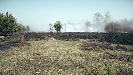 Burned forest and field after wildfire, black ground, ashes, smoke, dangerous draught weather, ecological catastrophe, disaster, global warming, environmental damage