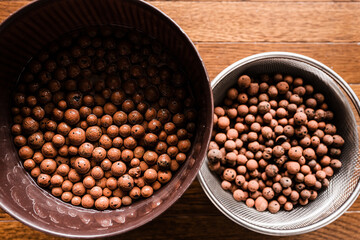 ハイドロボール 水耕栽培 ハイドロカルチャー