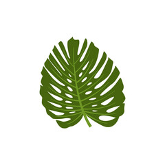 monstera leaf logo icon design template vector