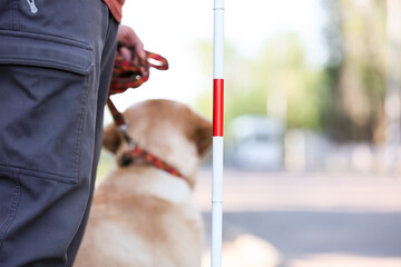 Blind man with guide dog outdoors