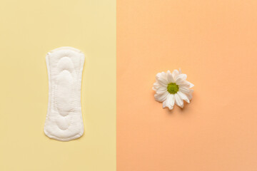 Menstrual pad and chamomile flower on color background