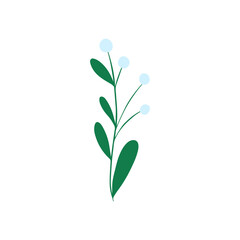Obraz na płótnie Canvas Mistletoe illustration. Winter berry, plant clip art isolated on white. New Year, Christmas floral design element.