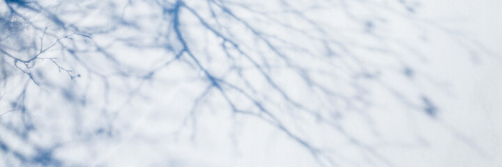 Shadows in the snow. Shadows from branches, bushes and trees on the snowy surface of the ground. Beautiful winter panoramic background.