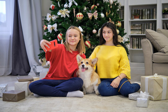 two teen girls Smiling making selfie photo together with a small dog corgi. Merry Christmas and Happy New Year. Christmas celebration.