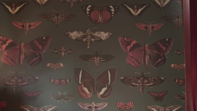 Close-up view of wallpaper with butterflies and moths on the wall in a retro room with red curtains