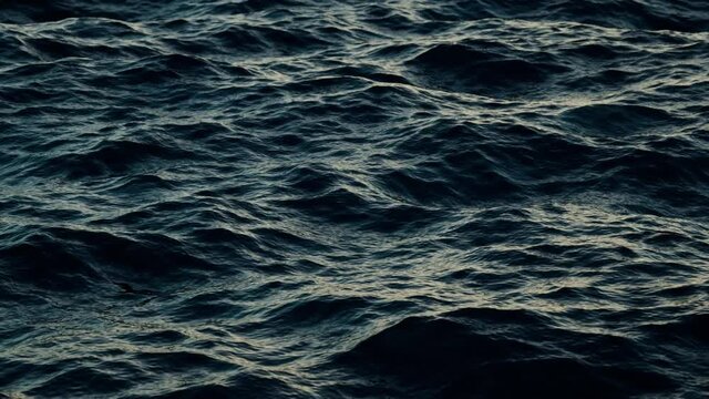 Seamless loop of 3d water waves animation with waving motion, blue marine background with copy space