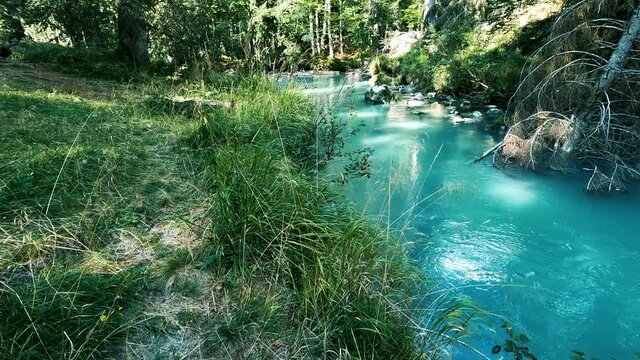 Turquoise blue river flowing through a fairy tale forest, relaxing and tranquil background screensaver