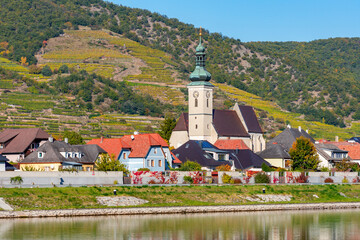 Fototapeta na wymiar Small village with vineyards in Wachau valley, Austria