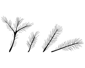 Set of vector pine branches, silhouette drawing