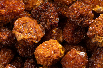 Detailed and large close up shot of dried physalis.