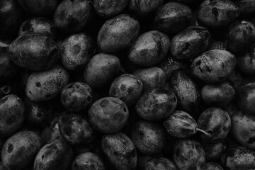 Black and white plum background close up.