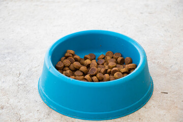 dog food, dry dog food, canine in blue bowl