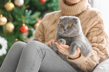 Woman with cute Scottish Fold cat at home on Christmas eve