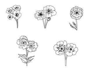 手描きのナチュラルな冬の花達