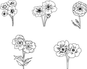 手描きのナチュラルな冬の花達