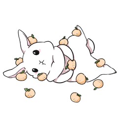 ミカンが多すぎるウサギ