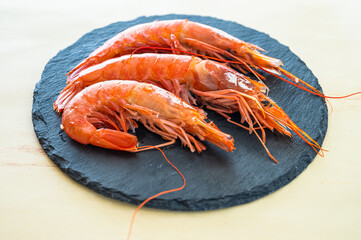 アルゼンチンアカエビ