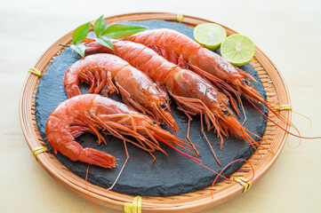 アルゼンチンアカエビ