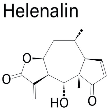 Helenalin sesquiterpene lactone molecule. Toxin found in Arnica montana. Skeletal formula.