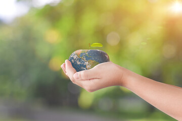 Hand holding apple fruit of Globe, Earth over green bokeh background. Elements of this image furnished by NASA