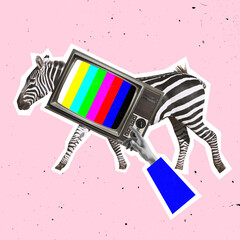 Contemporary art collage, modern design. Retro style. Minimalism. Zebra and retro Tv set with multicolored stripes