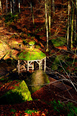 Karlstalschlucht