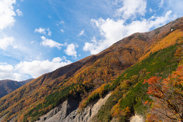 色付く山々