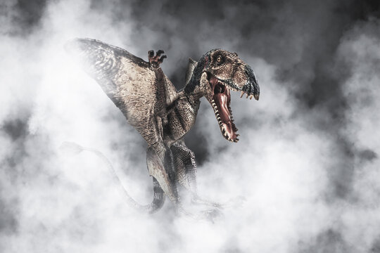Dimorphodon Dinosaur on smoke background © meen_na