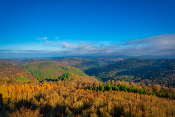 Obraz premium Blick vom Luitpoldturm