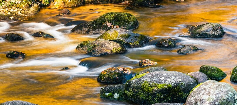 The Amber River or The Golden River, River Dart in Autumn Colours, Dartmoor Park, Devon, England, Europe