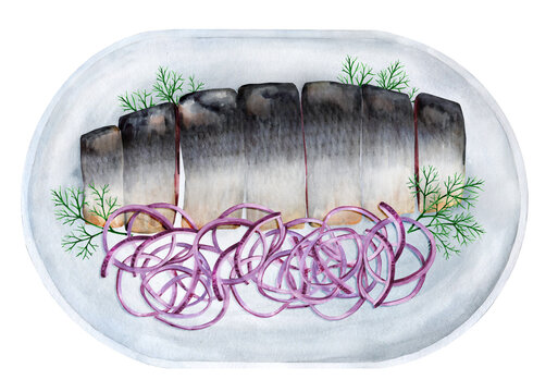 Herring sliceswith dill and onions. Watercolor illustration