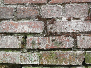 A very old split and moss-covered brickwork on a collapsing structure.