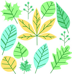 Hand drawn vector autumn leaves . Vector illustration