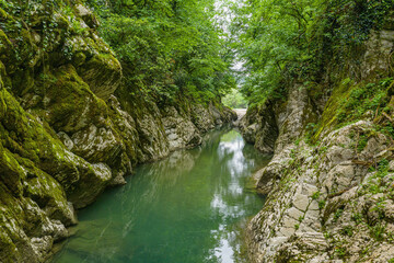 Caucasus. Khosta river. Devil's gate canyon. The area of yew-boxwood grove. Aerial view.