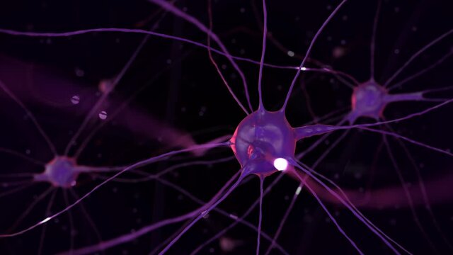 Nervous system and impulses of brain neurons under a microscope. Scientific research of the anatomy of nerve cells, activity inside the brain, structure of memory cells and their connections in lab 3d