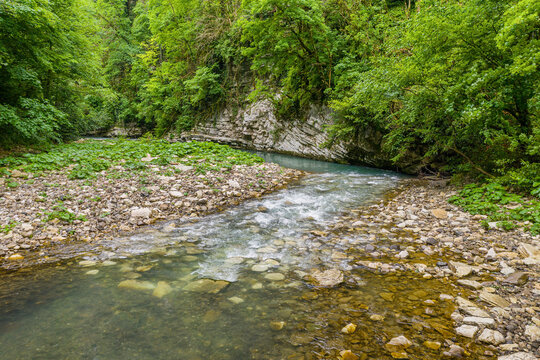 Caucasus. Khosta river in the area of yew-boxwood grove. Subtropical forest. Aerial view.