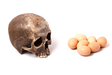Eggs and skull on a white background. Birth and death.