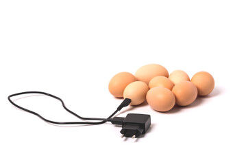 Eggs and charger.