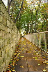 Autumn leaves on the stone trail on top of medieval 13th century city wall in York England