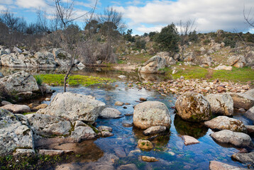 Arroyo Villapalos. Avila. España. Europa.