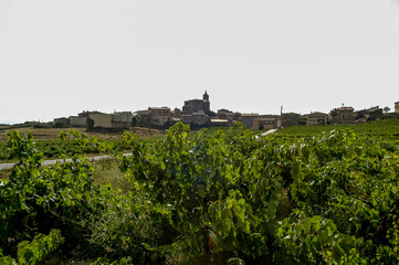 Fototapeta na wymiar Vista de la localidad Navaridas en la Rioja Alavesa, Alava, País Vasco