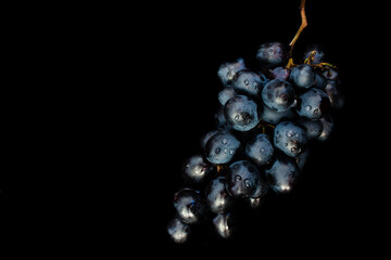 black grapes on a black background with drops on berries