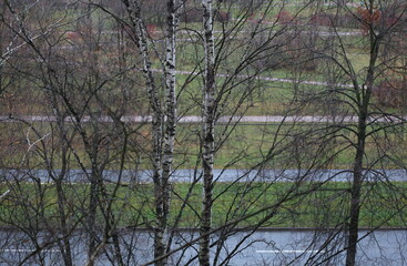 View from the window to the park in wet cloudy weather in autumn