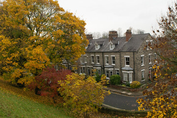 Fototapeta na wymiar Beautiful colorful autumn trees across British terraced brick houses in York England