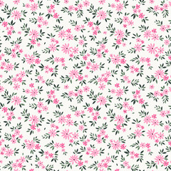 Trendy seamless vector floral pattern. Endless print made of small  daisy pink flowers. Summer and spring motifs. White background. Stock vector illustration.