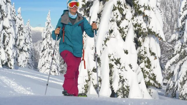 SLOW MOTION, LOW ANGLE, CLOSE UP: Active young Caucasian woman ski tours in the deep powder snow covering the idyllic backcountry. Sporty female tourist on splitboarding trip hikes up a snowy hill.