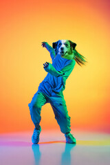 Full-length creative portrait of young girl, hip-hop dancer headed of dog's head in action isolated on colorful background in neon light. Image montage